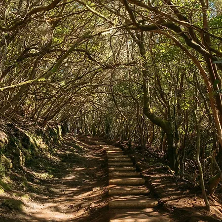 公寓 La Casita De Vera *